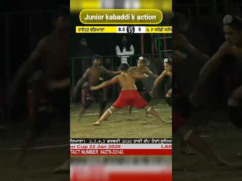 junior kabaddi k action boy #fidduraider #kabaddi365 #shilubahukabaddi #punjab #viral #action boy