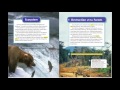 Ecology and Environmental Practices