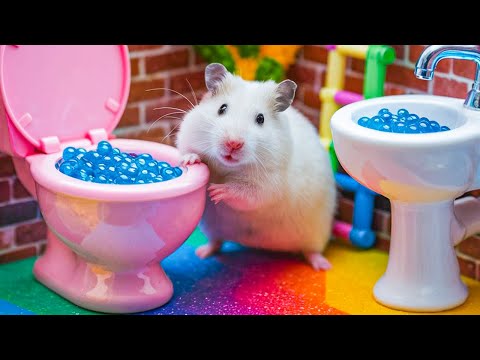 🐹🌈Hamster Adventure: Hamster's Epic Escape from the Rainbow Prison