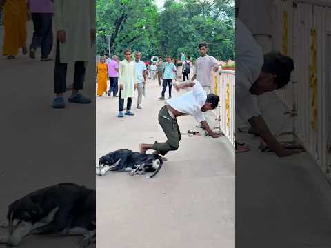 Dog is😰best🐶 and amazing dog flip #viraljump#dogshorts #dogclothes #animals #youtube