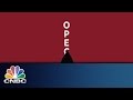 Understanding OPEC