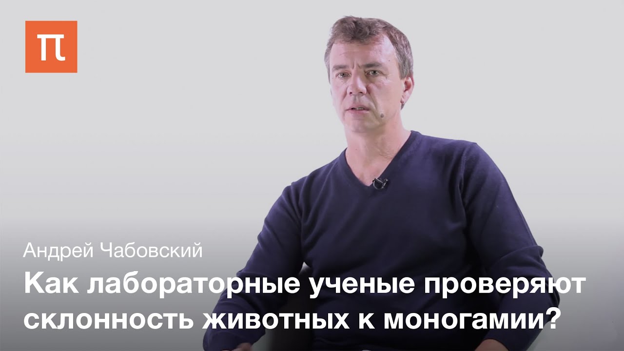 Исследования моногамии у животных - Андрей Чабовский