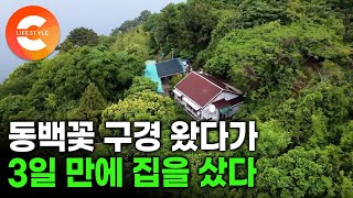 집 한 채 샀을 뿐인데 섬 통째로 우리집 정원🏝 동백섬으로 뒤덮인 섬에 여행 왔다가 풍경이 좋아서 3일 만에 촌집을 사서 눌러앉은 낭만 부부ㅣ#한국기행