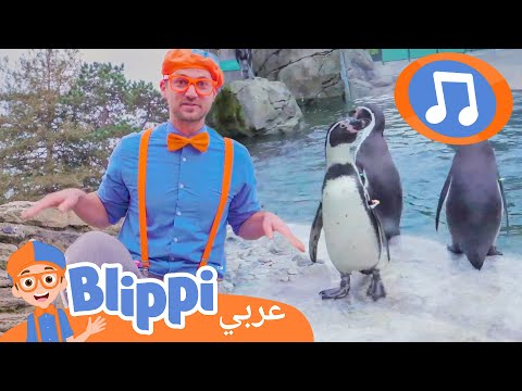 أغنية البطريق | أغاني الأطفال | برنامج بليبي التعليمي *Penguin Song* 🎶 | Blippi - بليبي بالعربي