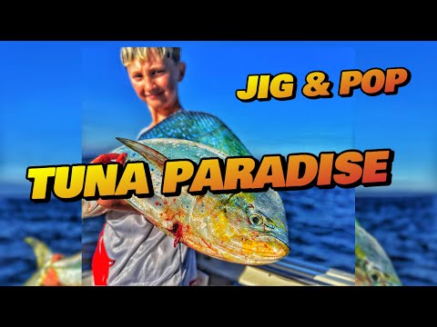 Jig & Pop Afternoon in Tuna Paradise, Top-Water heaven!