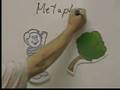 Exploring Figurative Language: Simile, Metaphor, and Personification