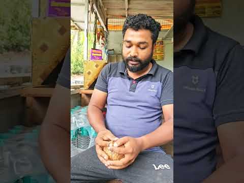 ഒരു ഈർക്കിലിമതി തേങ്ങ പൊട്ടിക്കാൻ ഇത് കൊള്ളാലോ ??
