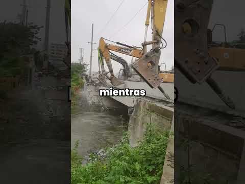 MAMÁS, CUÁNDO TE DISTE CUENTA de que CRIASTE BIEN a tu hijo?🤔