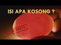 Pengecekan Telur Entok