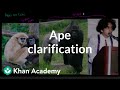 Understanding Apes and Their Characteristics
