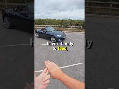 Slow cars solve all your problems