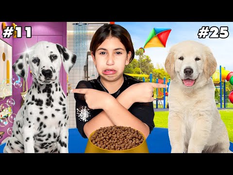 وأخيراً…رانيا تعتني بكلاب عائلة لعزاوي (روكي و ديانا)🐶لمدة 24 ساعة ‼️