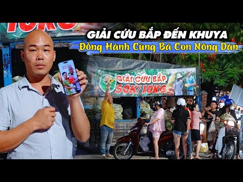 MẤT ĂN MẤT NGỦ VÌ BẮP KHÔNG AI MUA,THÉP QUYẾT TÂM BÁN HẾT BẮP GIẢI CỨU GIÚP ĐỞ BÀ CON LẤY LẠI VỐN