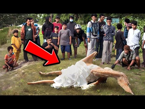 YOU WON'T BELIEVE WHAT THESE ANGELS CAN DO!