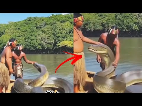 IF YOU THOUGHT YOU HAD SEEN IT ALL WATCH THIS BIZARRE VIDEO SCARY VIDEOS #28