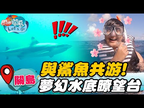 【關島】與鯊魚共遊！ 夢幻水底瞭望台【食尚玩家2天1夜go】20221026 (2/3)