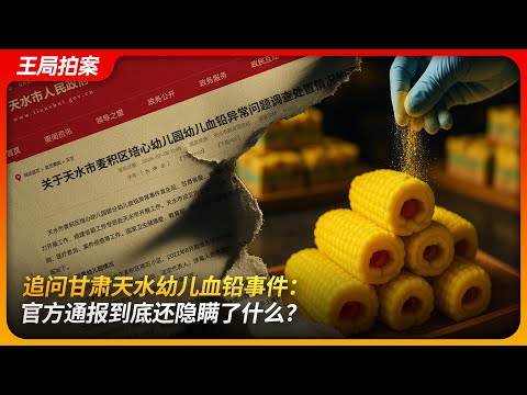 追问甘肃天水幼儿血铅事件：官方通报到底隐瞒了什么？｜铅中毒｜幼儿园｜李慧芳｜柠檬黄｜辛吉飞｜王局拍案 20250710
