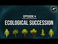 Exploring Succession in Biodiversity