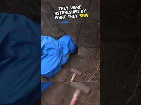 You won't believe what they found at the end 🥺💔 #shorts