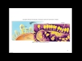 DNA Structure and Function Concepts