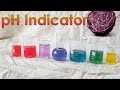 Red Cabbage pH Indicator Concepts