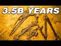 Life Beyond Earth and Early Life