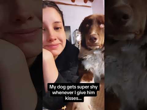 When you suddenly kiss the dog😆🐕