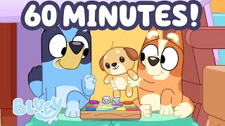 🔴LIVE: 1 HOUR of Bluey Family Fun Time 😊 🌟 | Life Lessons, Games, and More | Bluey