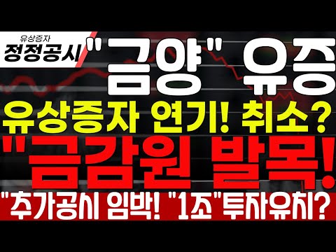 [금양 유상증자] 금감원에 발목잡힌 금양! "5천억" 계약금 공시로 유증 취소?