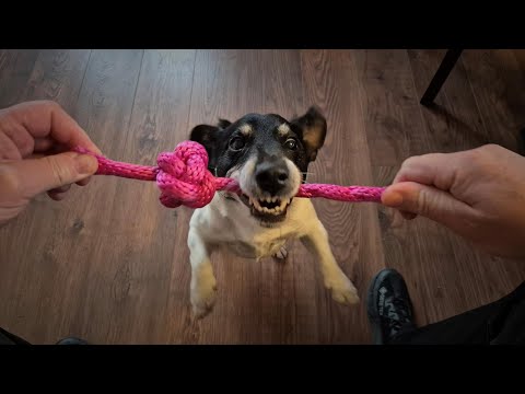 DIY Dog Toy out of Rope - Approved by the Jack Russell - Single Strand Diamond Knot