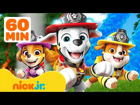 Best PAW Patrol Fire Rescue Moments! ๐๐ฅ | 60 Minutes | Nick Jr.