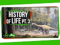 Mesozoic Era Evolutionary Developments