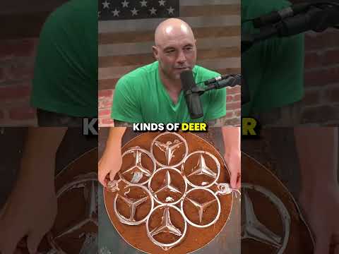 The double Plural 😂 w/ Neil deGrasse Tyson