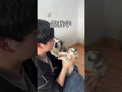 話嘮要從小培養#Shorts