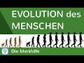 evolution-menschen-wasseraffentheorie-savannentheorie/