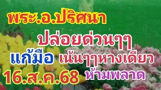 พระอ.ปริศนา.ปล่อยด่วนๆๆแก้มือเน้นๆๆหางเดียว16.ส.ค.68