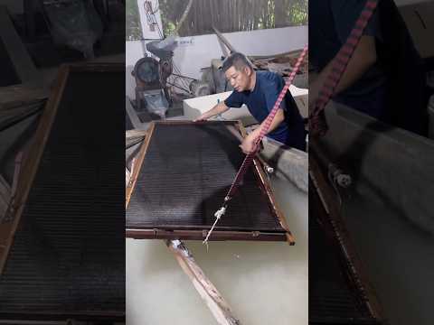 The Magic of Turning Wood into Paper! ๐ฒ๐ชต