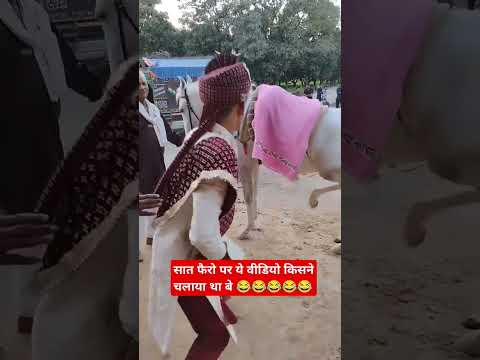 #घोड़ा है भाई गधा नहीं😂😂😂😂