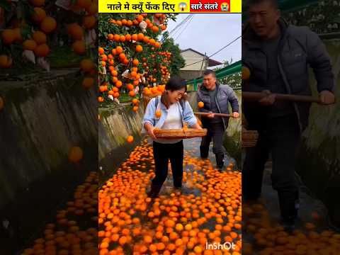 खराब मालिक ?~mini wood toy- woodworking art skill/ hands craft idea #shorts #mango #orange #tiktok