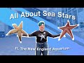 Sea Star Biology and Ecology