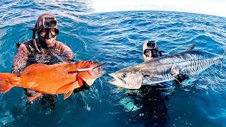 INSANE Reef Spearfishing Australia