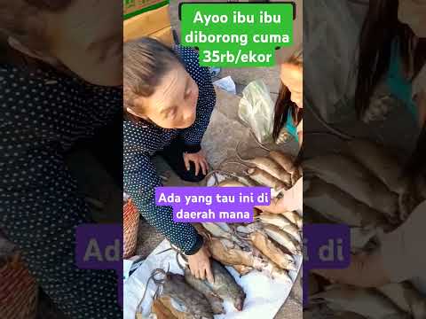 PASAR EKSTRIM DI NEGRA +62 #shorts #pasar #viralvideo #fyp #janganlupasubscribe