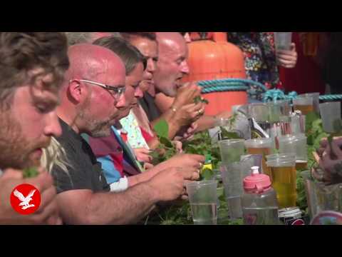 World nettle eating competition kicks off in Dorset