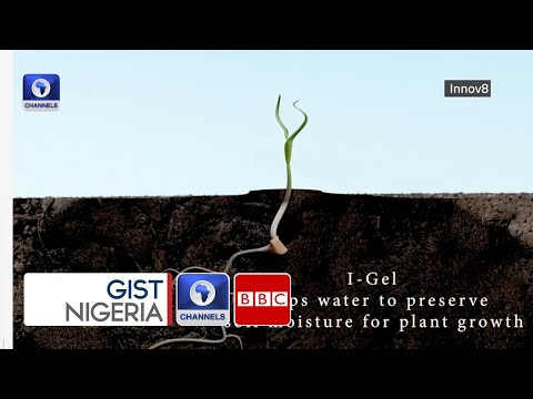 YouTube video thumbnail: Climate Change: Nigerian Academics Develop Tech Solution to Combat Drought