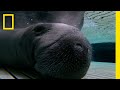 Manatee Health and Dental Care