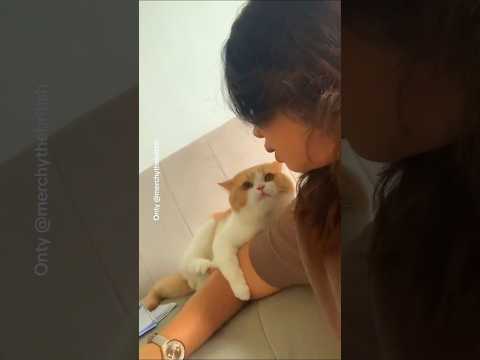 MARAHIN MECI SI TUKANG NYAKAR