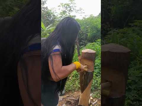 Os Indígenas da Amazônia extraindo caldo de cana