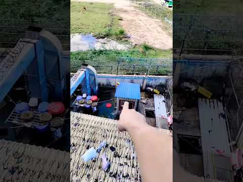 Đi lao động Campuchia là khổ
