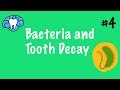 Dental Health and Caries Prevention