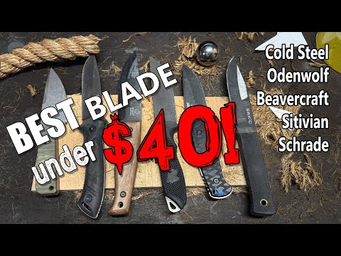 Testing Fixed Blades Under $40 To Find The Best! Part 1.